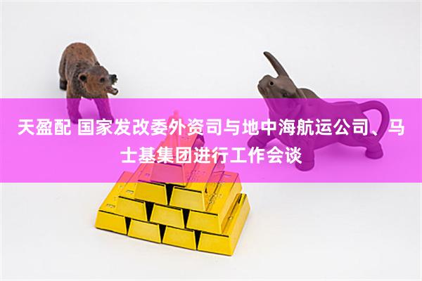 天盈配 国家发改委外资司与地中海航运公司、马士基集团进行工作会谈