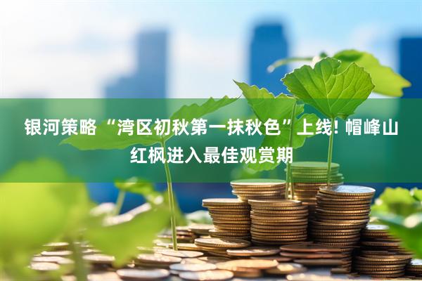 银河策略 “湾区初秋第一抹秋色”上线! 帽峰山红枫进入最佳观赏期