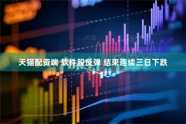 天猫配资端 软件股反弹 结束连续三日下跌