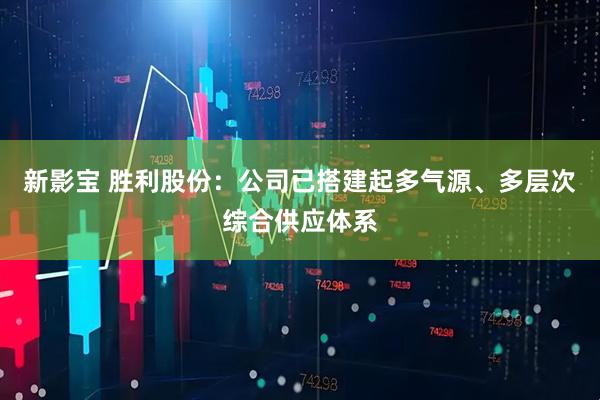 新影宝 胜利股份：公司已搭建起多气源、多层次综合供应体系
