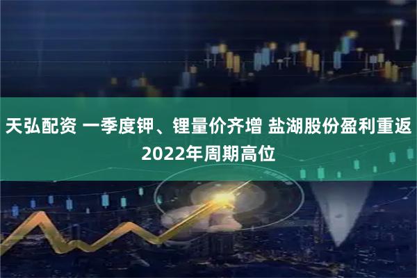 天弘配资 一季度钾、锂量价齐增 盐湖股份盈利重返2022年周期高位