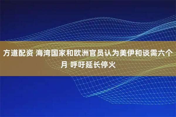 方道配资 海湾国家和欧洲官员认为美伊和谈需六个月 呼吁延长停火