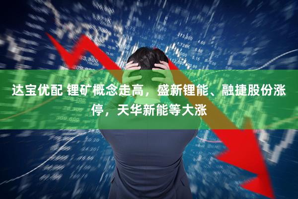 达宝优配 锂矿概念走高，盛新锂能、融捷股份涨停，天华新能等大涨
