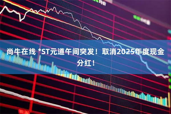 尚牛在线 *ST元道午间突发！取消2025年度现金分红！