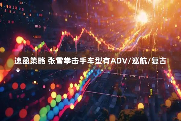 速盈策略 张雪拳击手车型有ADV/巡航/复古