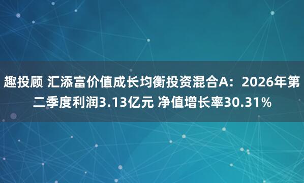 趣投顾 汇添富价值成长均衡投资混合A：2026年第二季度利润3.13亿元 净值增长率30.31%