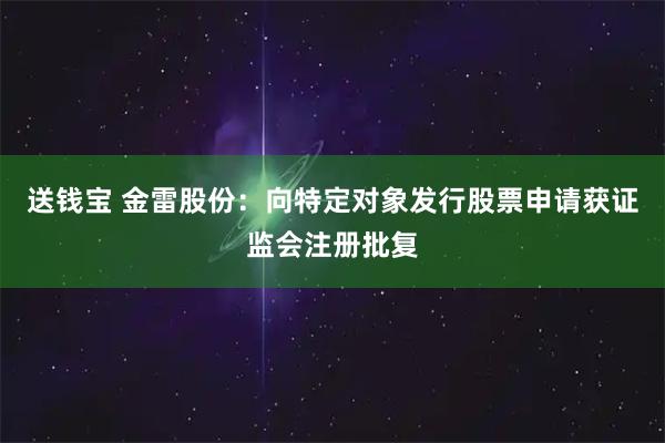 送钱宝 金雷股份：向特定对象发行股票申请获证监会注册批复